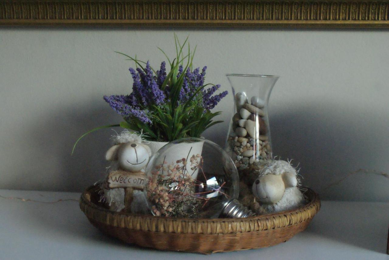 Ashtree Guesthouse Hanover Road Eksteriør billede