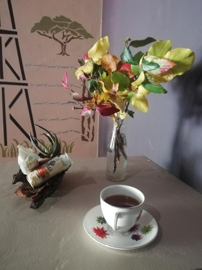 Ashtree Guesthouse Hanover Road Eksteriør billede